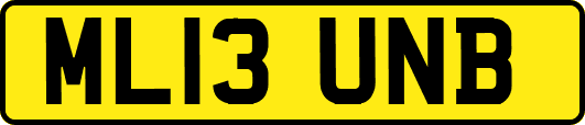 ML13UNB