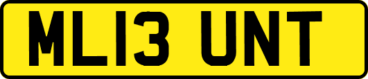 ML13UNT