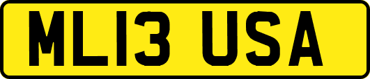 ML13USA