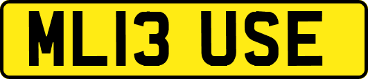ML13USE