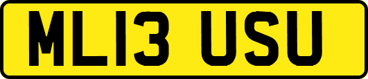 ML13USU