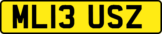 ML13USZ