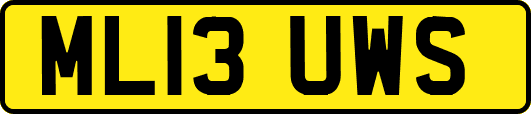 ML13UWS