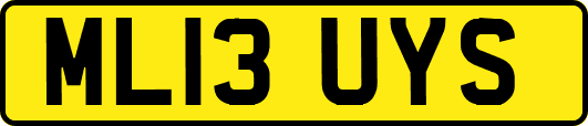 ML13UYS
