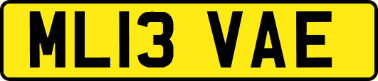 ML13VAE