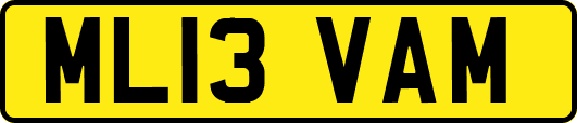 ML13VAM