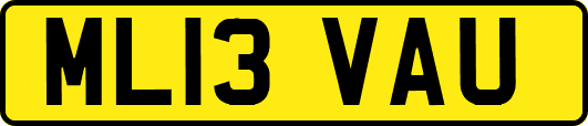 ML13VAU