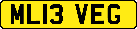 ML13VEG