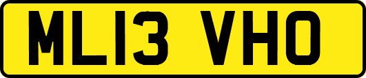 ML13VHO
