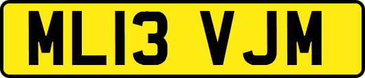ML13VJM