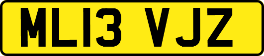 ML13VJZ