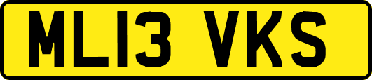 ML13VKS