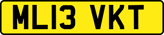 ML13VKT