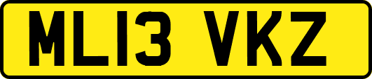 ML13VKZ