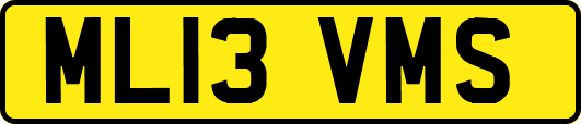 ML13VMS
