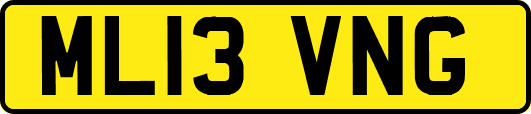 ML13VNG