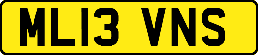 ML13VNS
