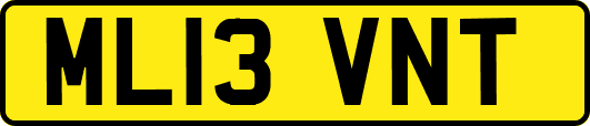 ML13VNT