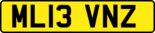 ML13VNZ