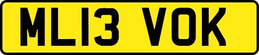 ML13VOK