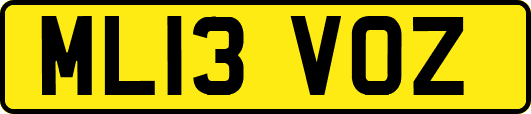 ML13VOZ