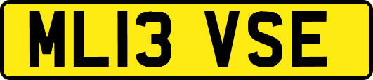 ML13VSE
