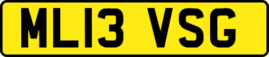 ML13VSG