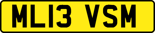 ML13VSM