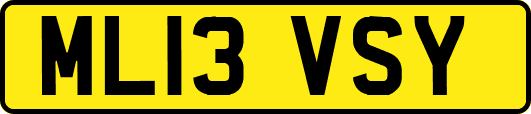 ML13VSY