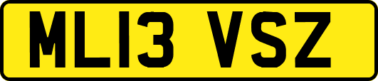 ML13VSZ