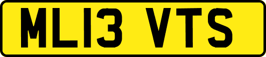 ML13VTS