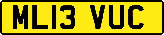 ML13VUC