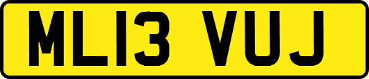 ML13VUJ