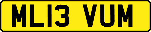 ML13VUM
