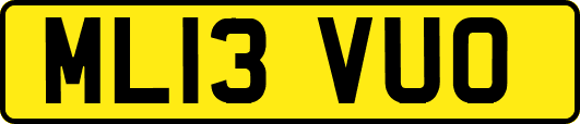 ML13VUO