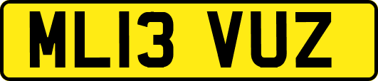 ML13VUZ
