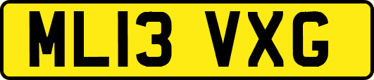 ML13VXG