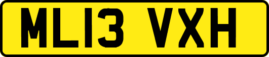 ML13VXH