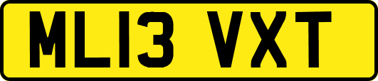 ML13VXT