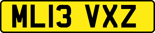 ML13VXZ