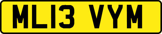 ML13VYM