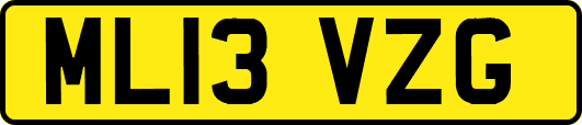 ML13VZG