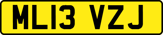 ML13VZJ