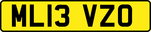 ML13VZO