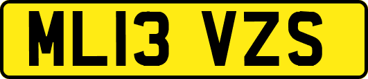 ML13VZS