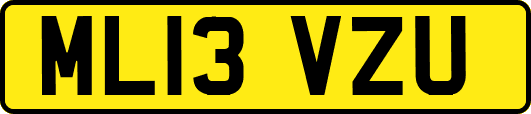 ML13VZU