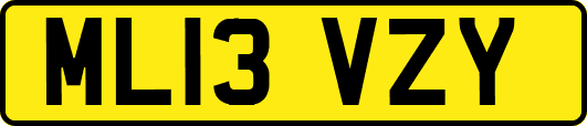ML13VZY
