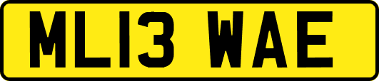 ML13WAE