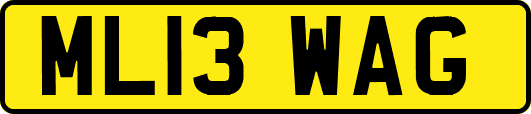 ML13WAG