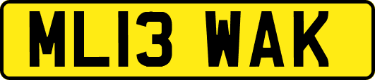 ML13WAK
